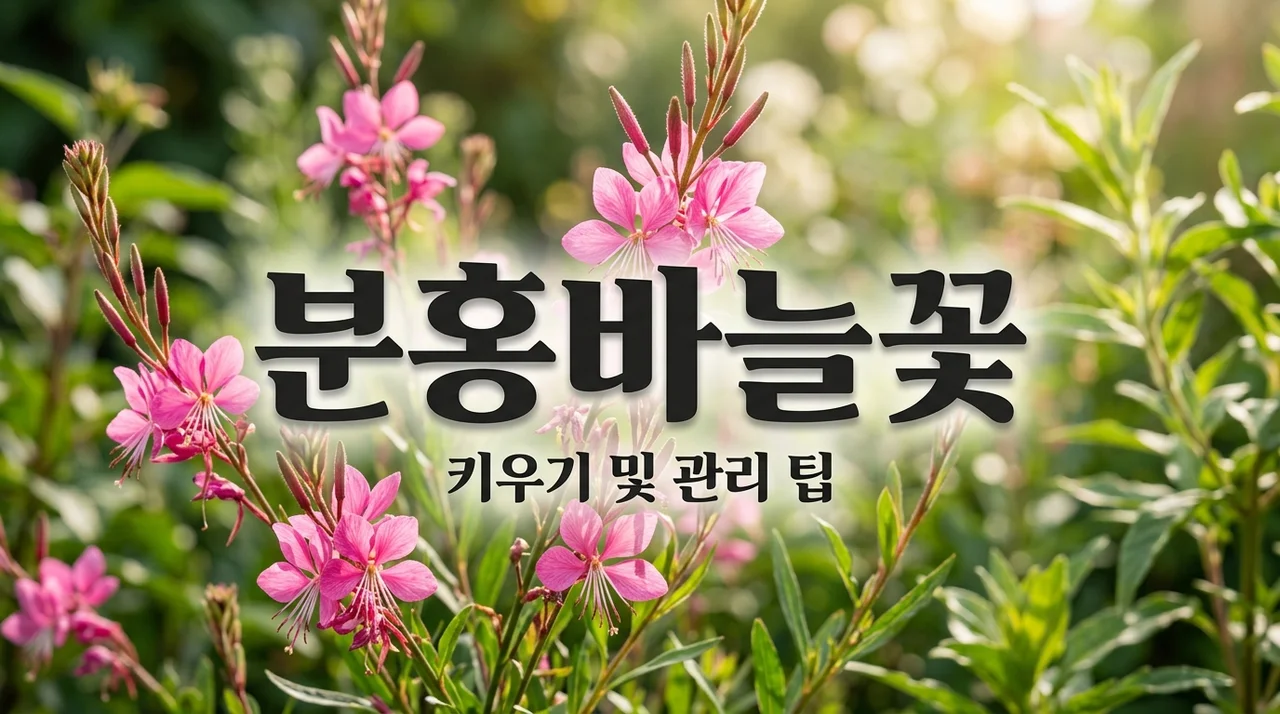 분홍바늘꽃 키우기: 노지 월동과 특징 완벽 정리