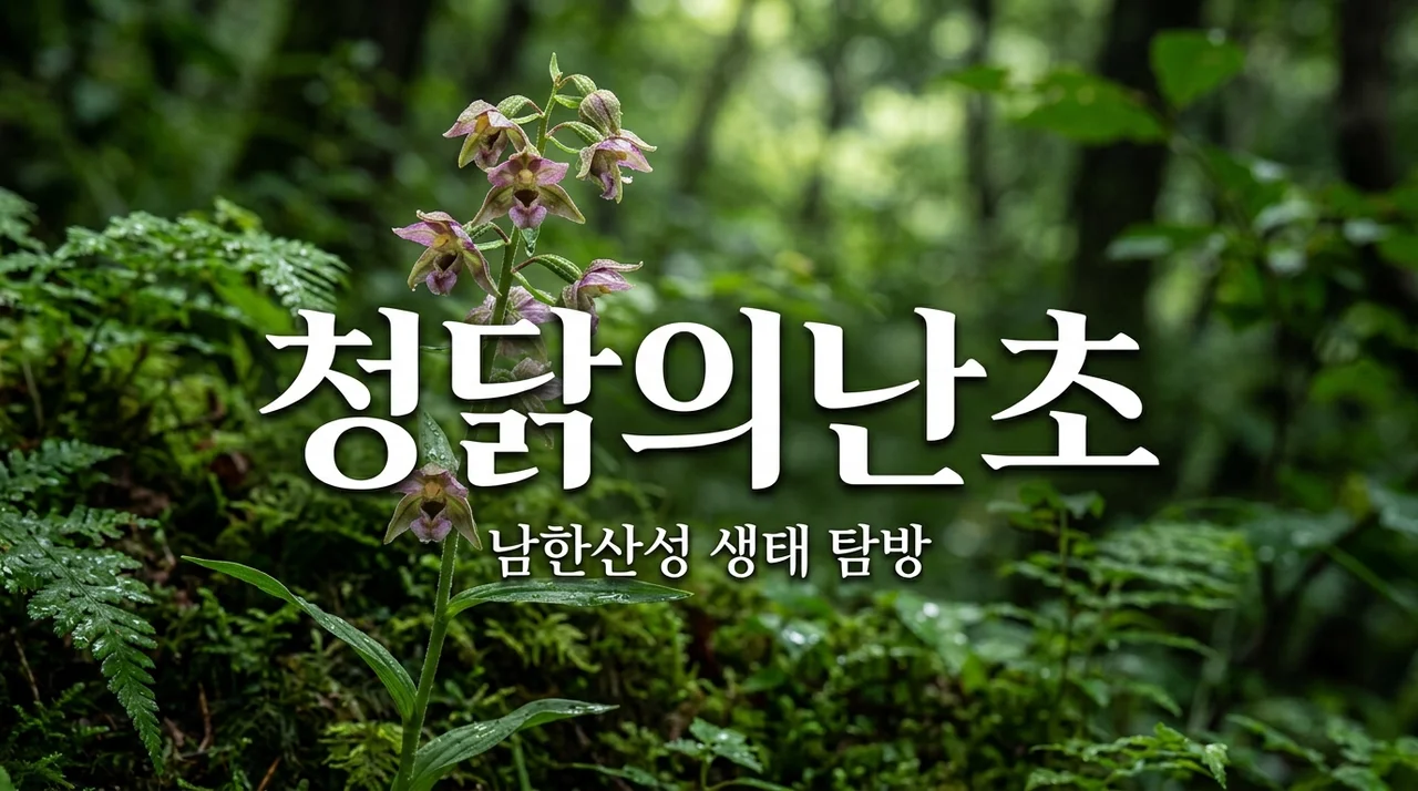 청닭의난초 남한산성 탐방 가이드: 개화시기와 특징 총정리