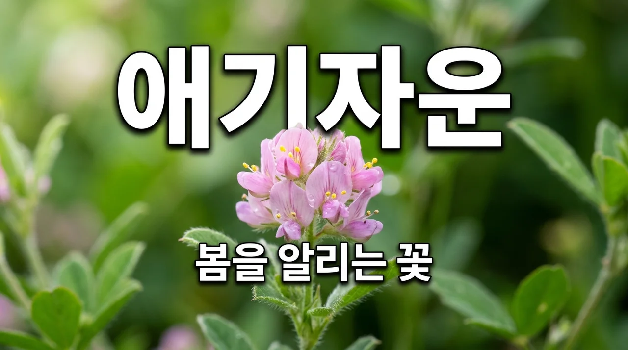 애기자운 꽃말과 특징, 봄의 정원을 채우는 신비로운 야생화