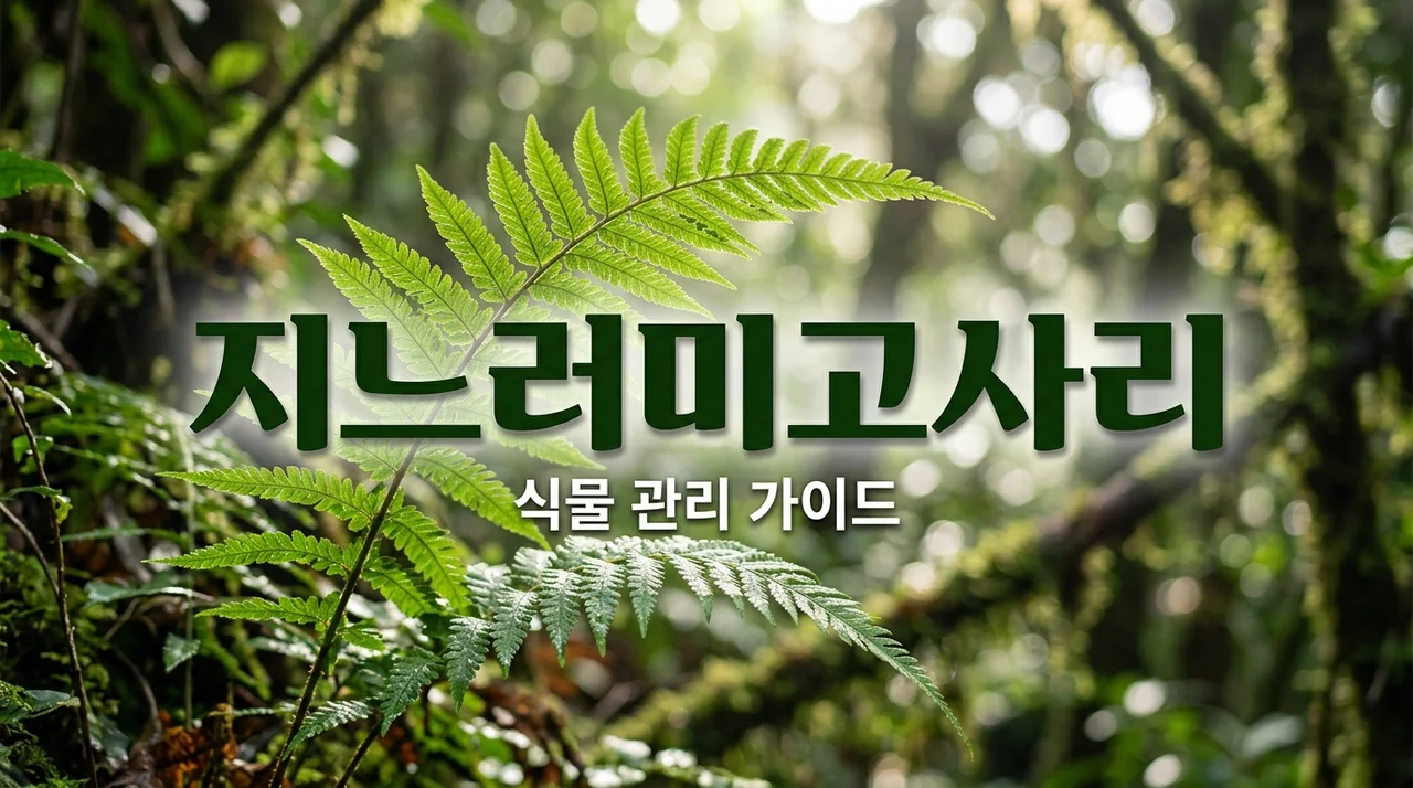 지느러미고사리 특징 및 키우는 방법 알아보기