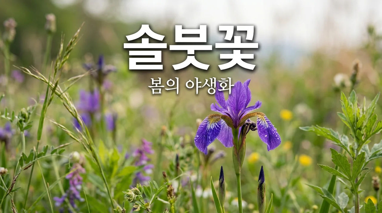 솔붓꽃, 멸종위기 야생화의 신비로운 봄의 기록