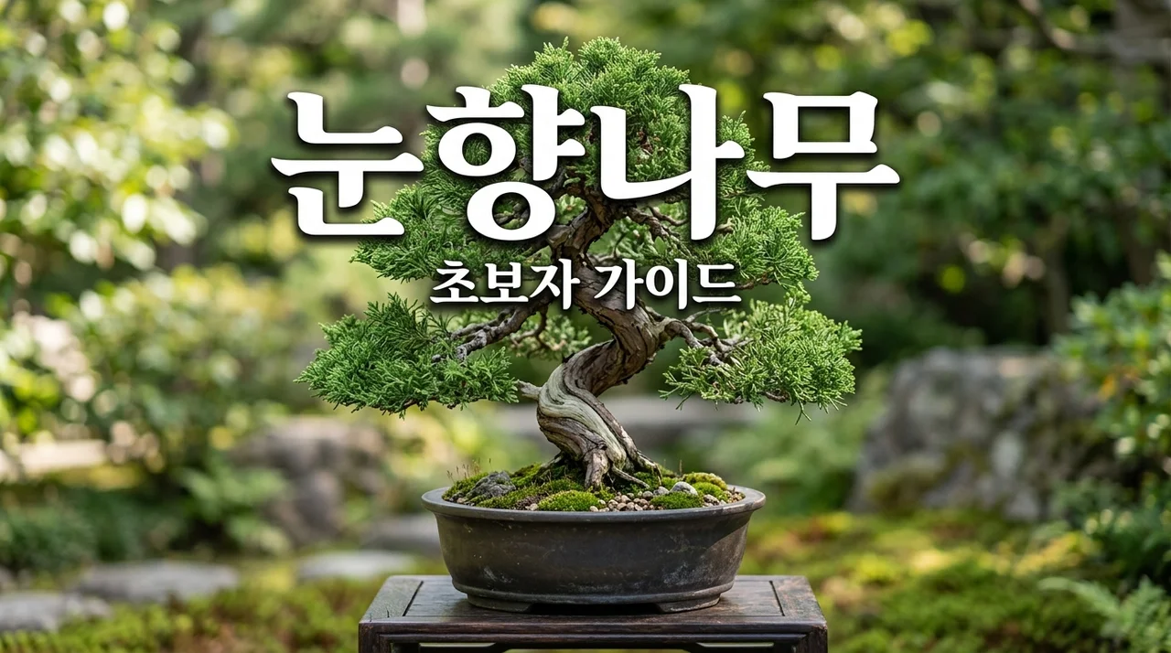 눈향나무 키우기 핵심 가이드: 분재 관리부터 번식까지