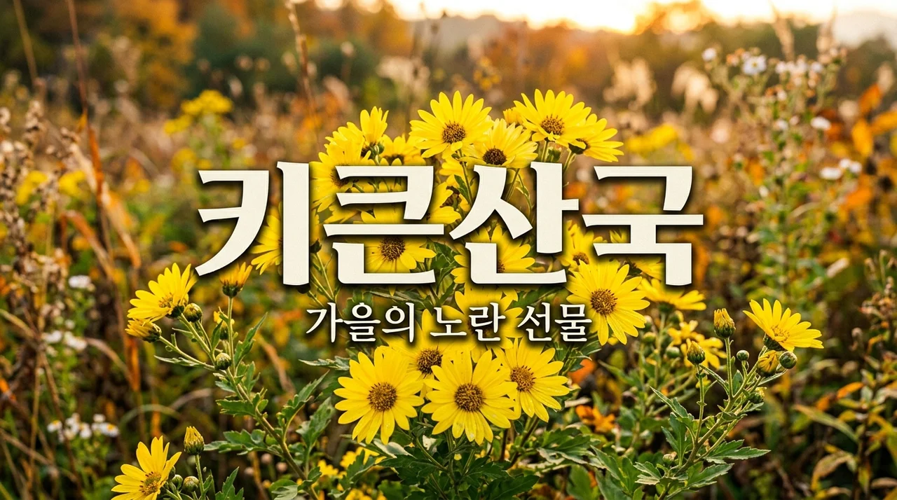 키큰산국 특징과 매력, 가을 들판을 수놓는 노란 꽃의 정체