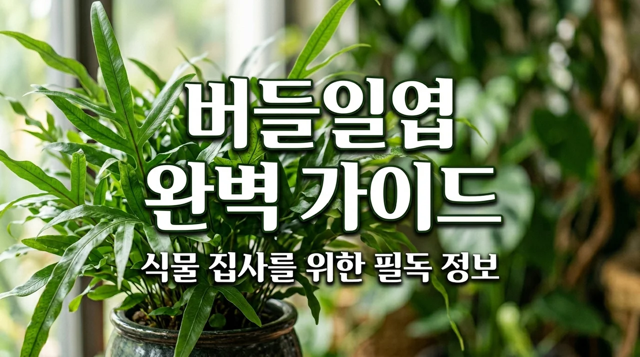 버들일엽 키우기 가이드: 특징부터 물주기 관리법까지 완벽 정리