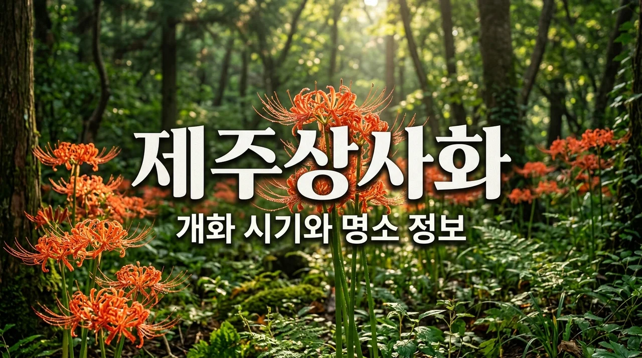 제주상사화 개화 시기 및 명소 3곳 완벽 가이드
