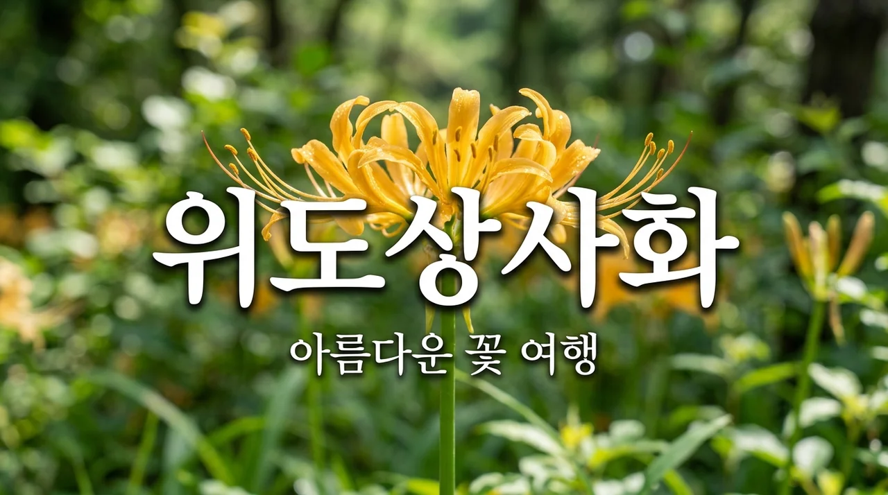 위도상사화 완벽 정리: 특징부터 여행 정보까지 한눈에 보기