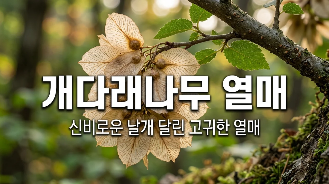 갯대추나무 특징과 열매의 비밀, 제주에서 만나는 야생화 탐방