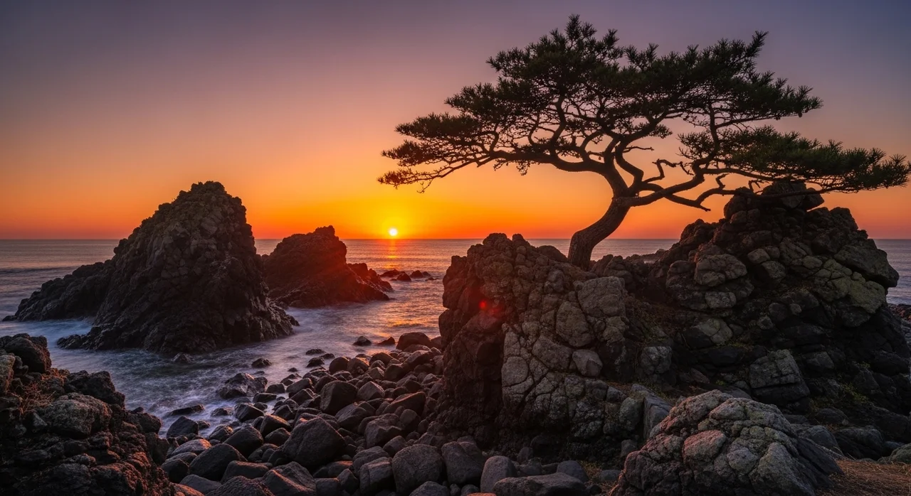 갯대추나무를 만날 수 있는 최적의 환경