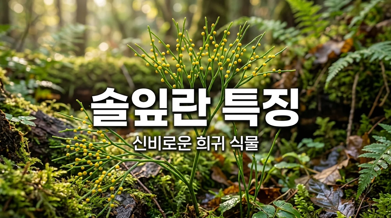 솔잎란 특징과 자생지 보호: 신비로운 희귀 식물 이야기
