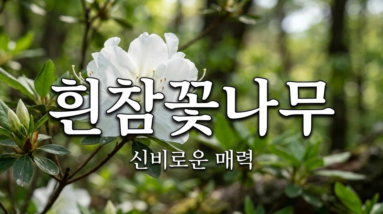 흰참꽃나무의 매력과 자생지 특징: 한국의 소중한 식물