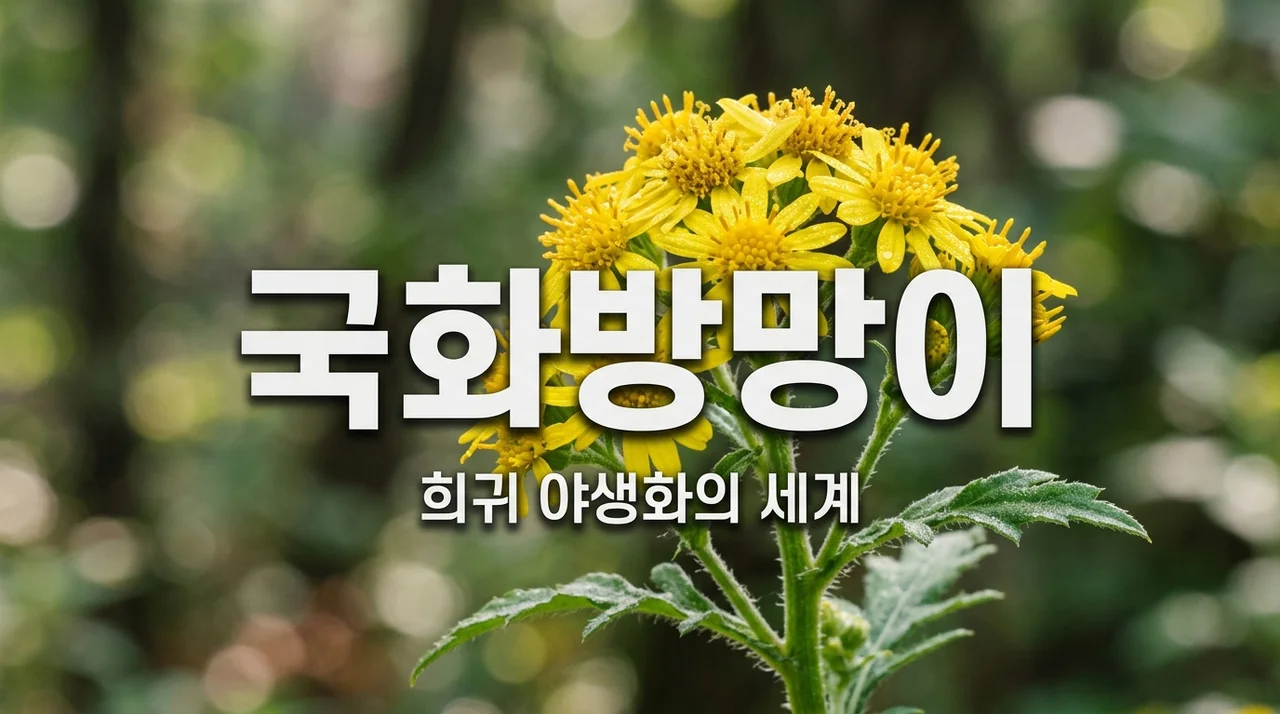 국화방망이의 특징과 생태: 멸종위기 야생화의 가치 알아보기