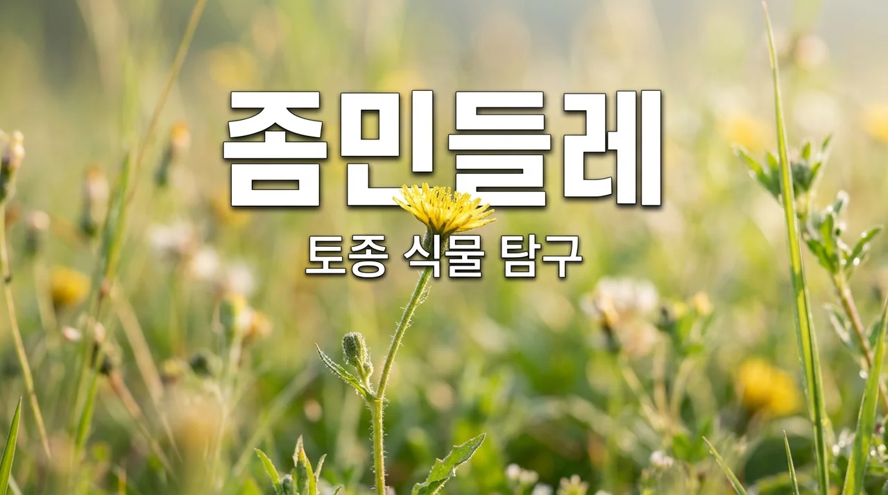 좀민들레 특징과 우리 주변의 소중한 토종 식물 알아보기