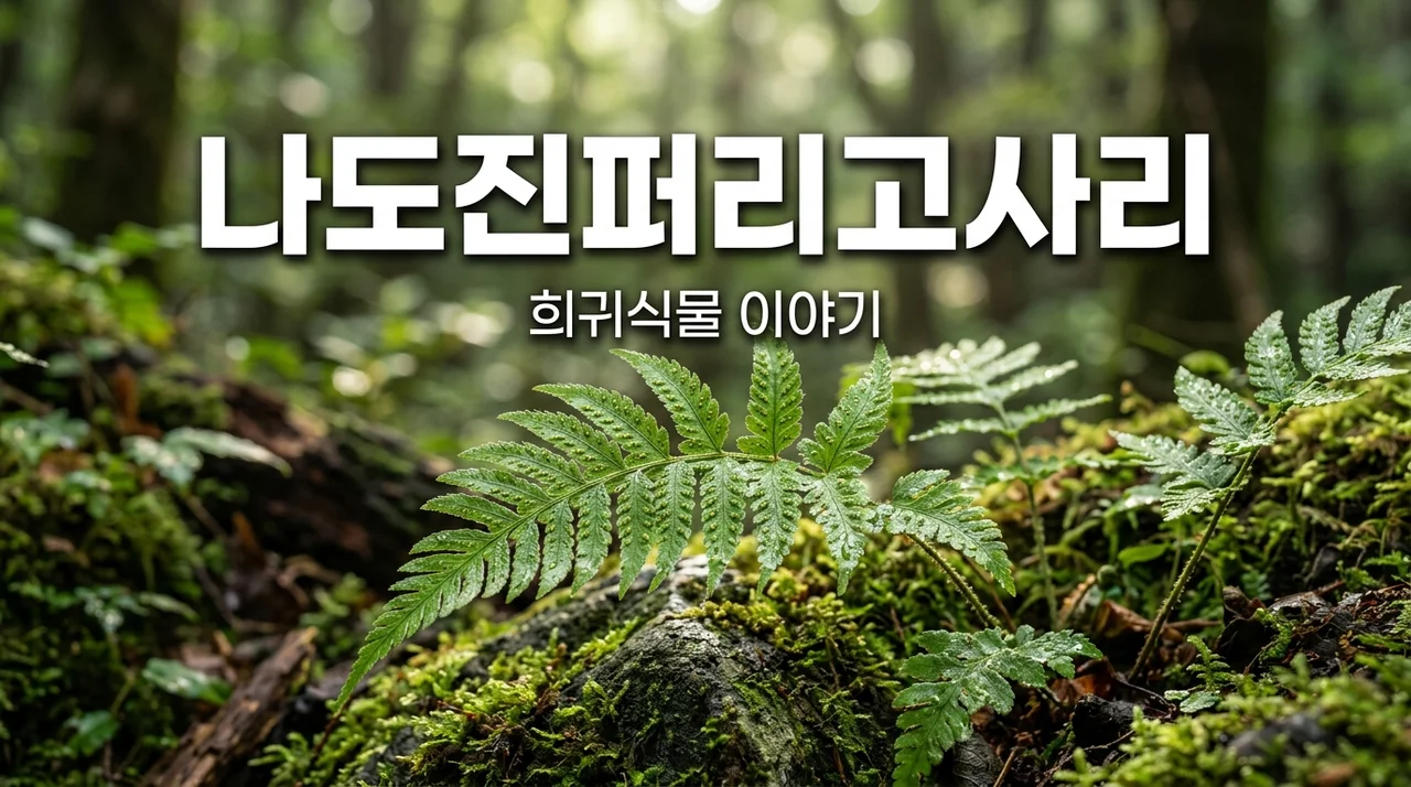 나도진퍼리고사리 특징 및 희귀 식물로서의 가치와 보호