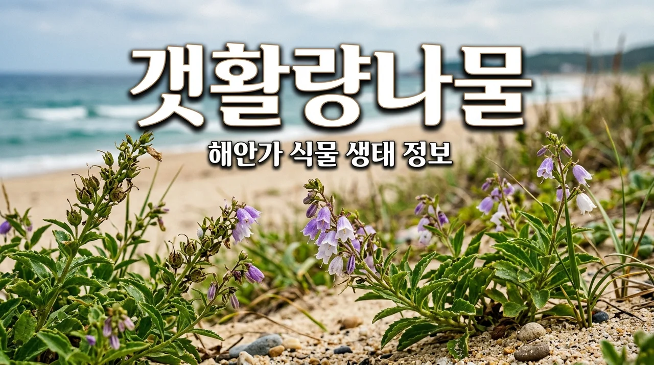 갯활량나물 특징과 생태: 바닷가에서 만나는 신비로운 식물 이야기