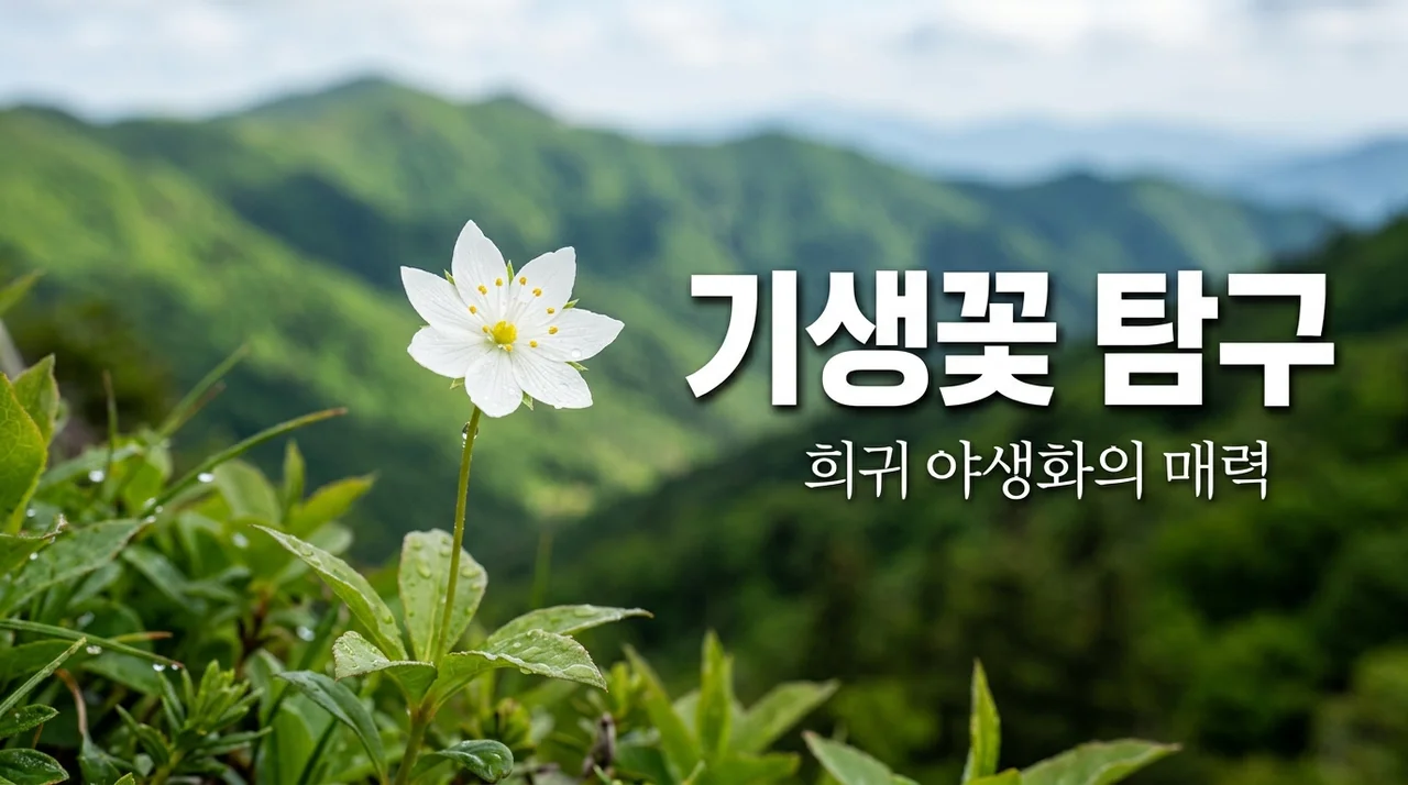 기생꽃의 매력과 특징, 6월의 산에서 만나는 귀한 야생화