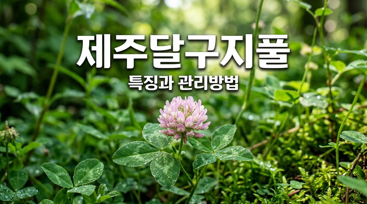 제주달구지풀 완벽 가이드: 특징부터 키우기 관리법까지