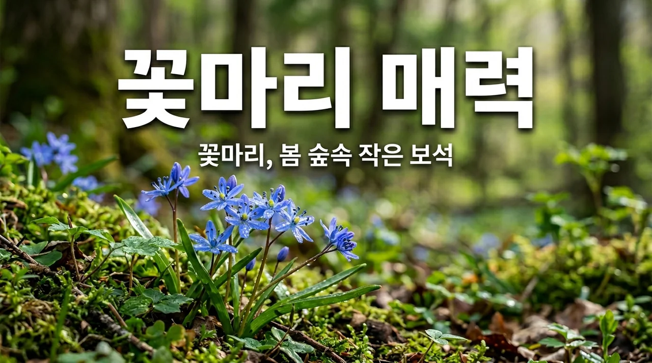 거센털꽃마리 특징과 매력, 숲속에서 만나는 봄꽃 이야기