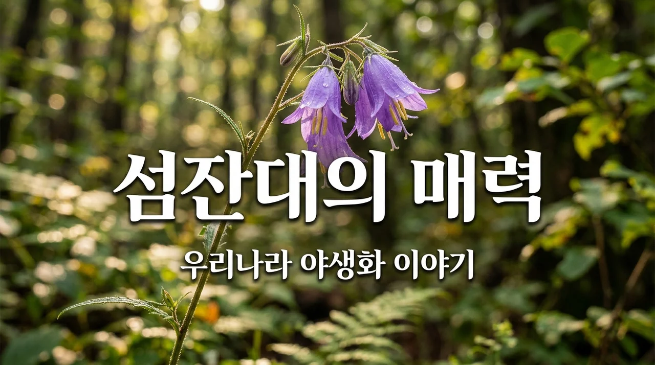 섬잔대 특징과 매력, 우리나라 야생화의 숨은 보석 알아보기