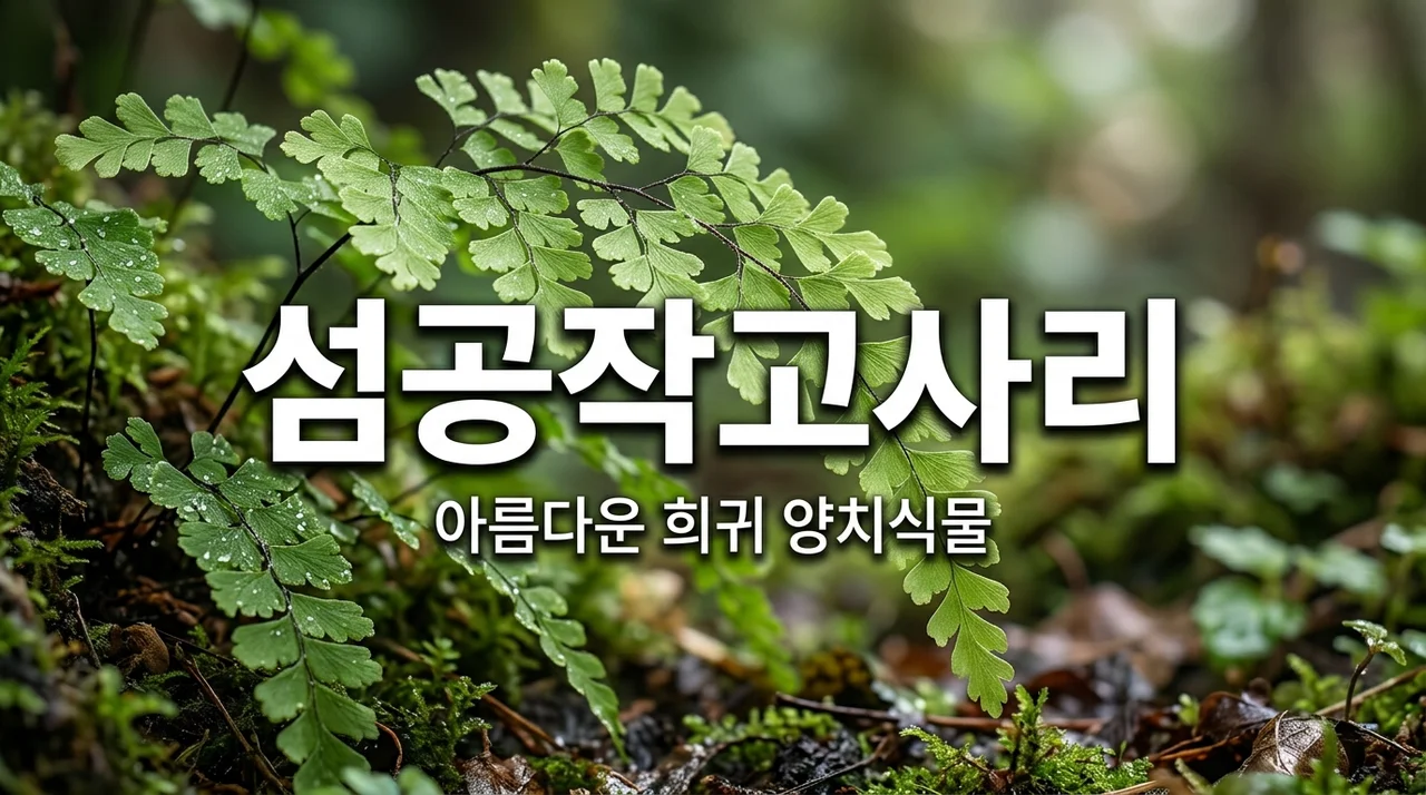 섬공작고사리 키우기: 공작의 날개를 닮은 희귀 식물 관리법