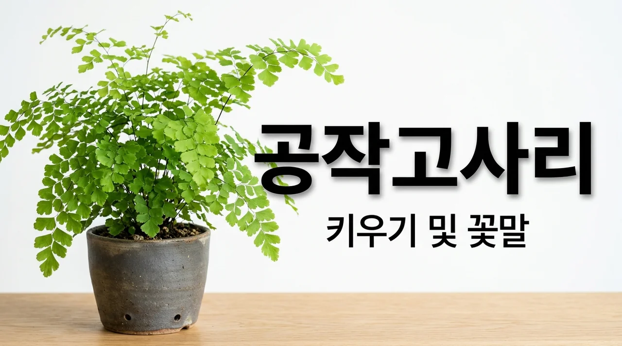 공작고사리 키우는 법과 꽃말, 효능까지 완벽 정리 가이드