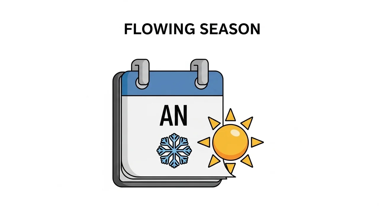 옹굿나물 핵심 특징 한눈에 보기