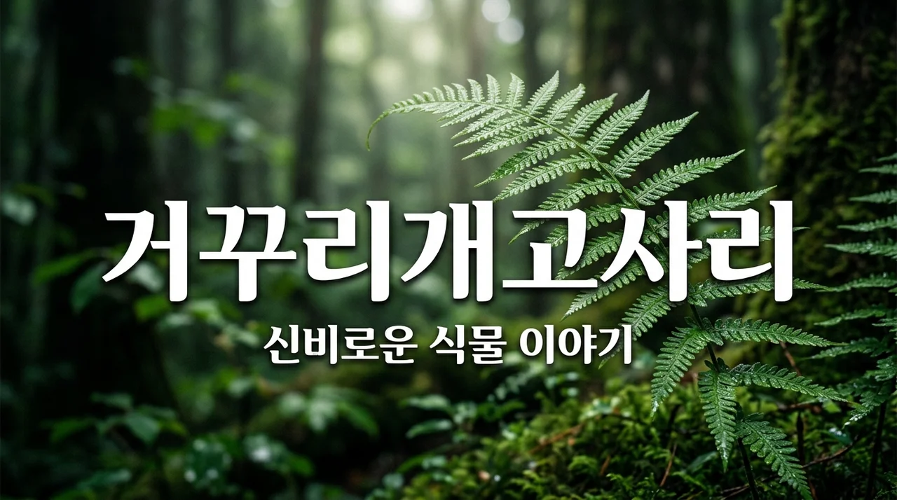 거꾸리개고사리 특징과 식별법: 한라산의 신비로운 식물