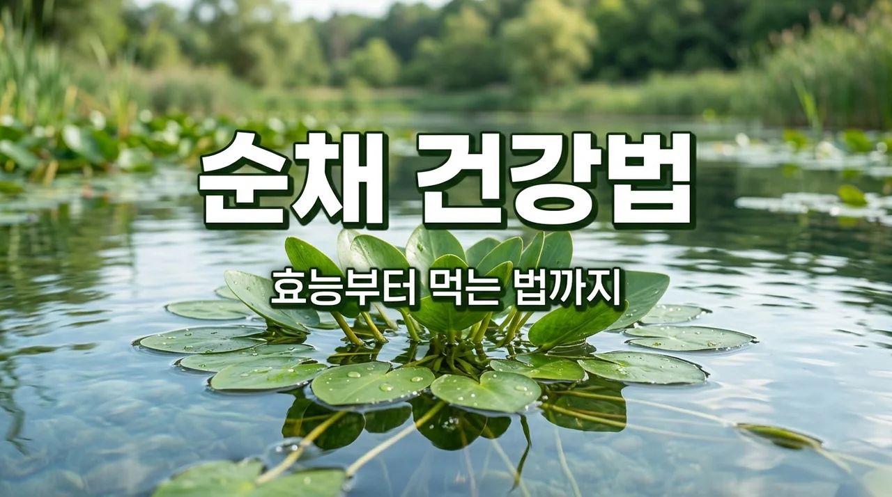 순채 효능과 먹는 법: 맑은 물이 준 건강한 선물