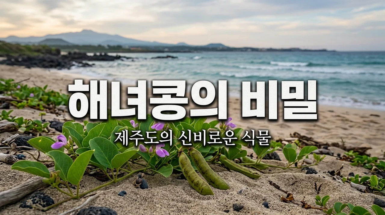 해녀콩의 신비로운 매력과 제주 올레길에서 만나는 식물 이야기