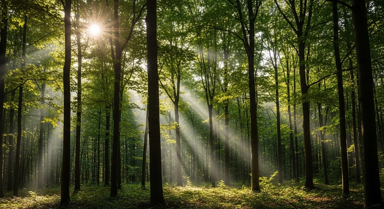 마치며: 자연을 대하는 우리의 자세