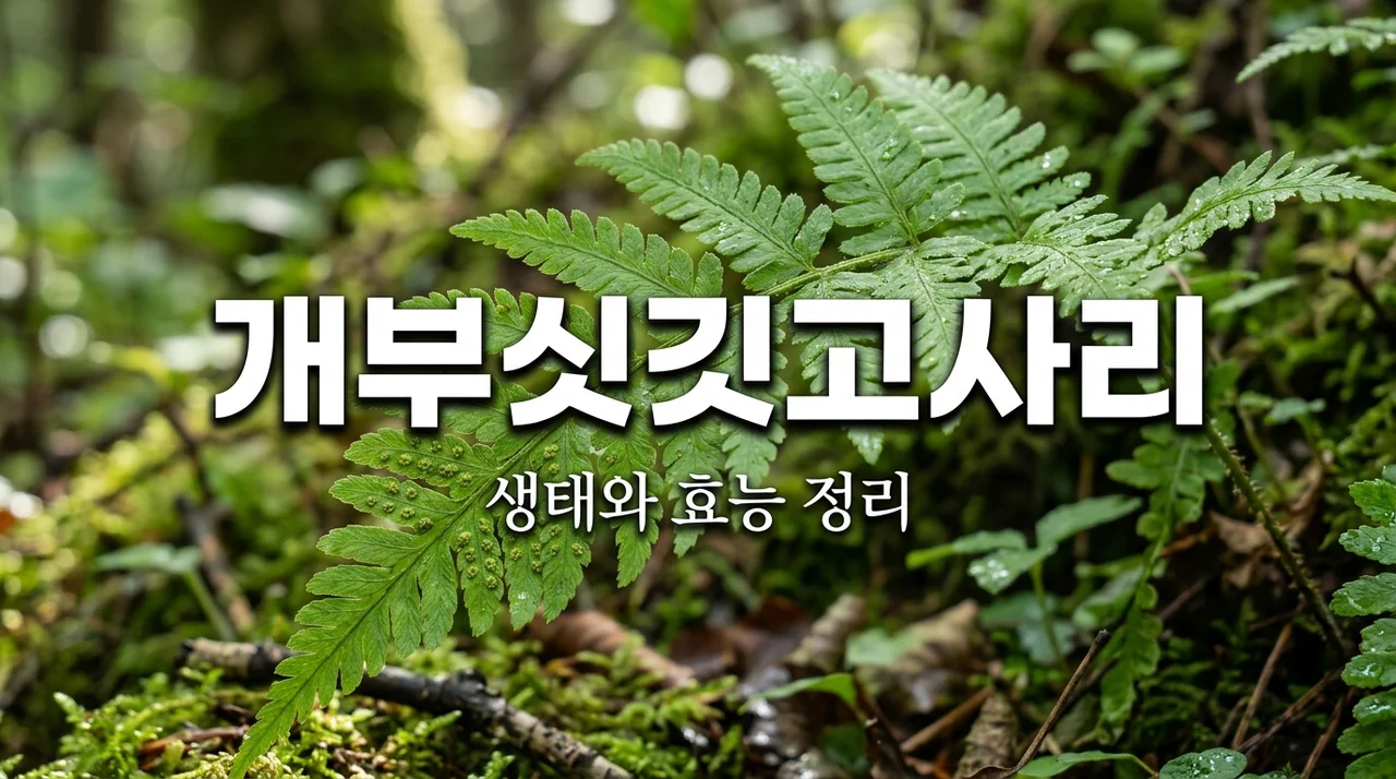 개부싯깃고사리란? 효능과 특징 및 자연 생태계 이해하기