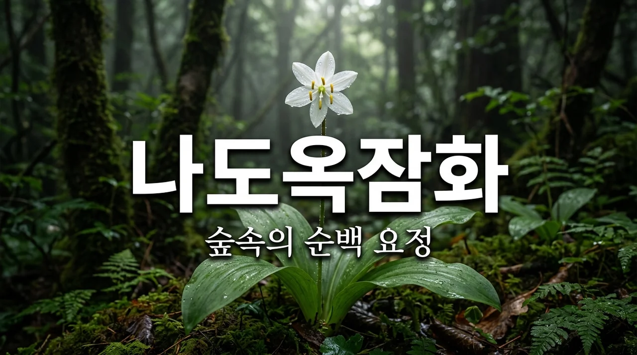 나도옥잠화: 깊은 산속에서 만나는 순백의 야생화 탐구