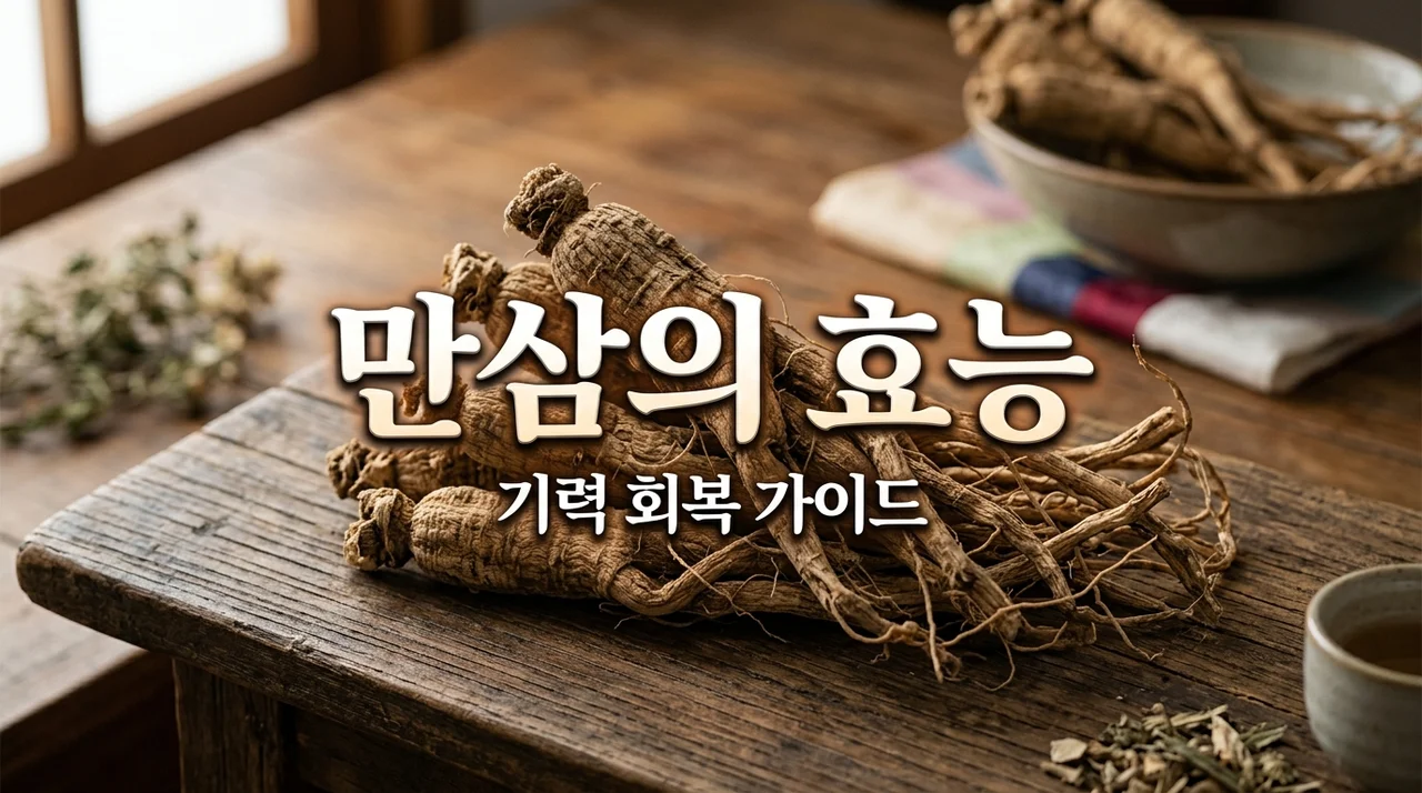 만삼 효능과 올바른 복용법, 기력 회복에 정말 좋을까?