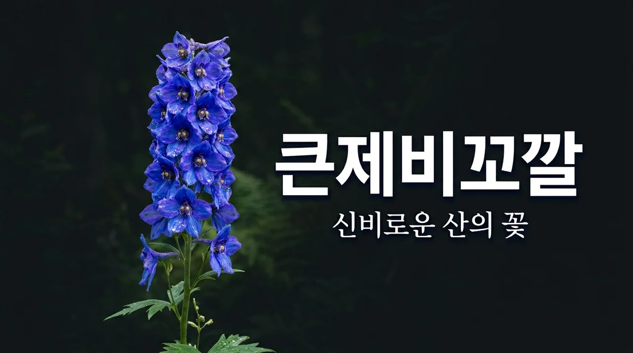 큰제비꼬깔의 매력과 특징, 델피니움의 아름다운 자태 탐구