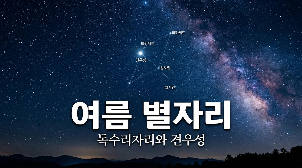 독수리자리와 견우성 알타이르, 여름 밤하늘의 주인공