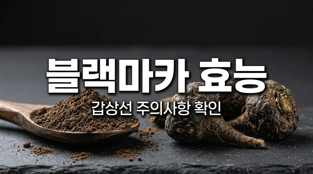 블랙마카 효능과 갑상선 환자가 주의해야 할 핵심 금기사항