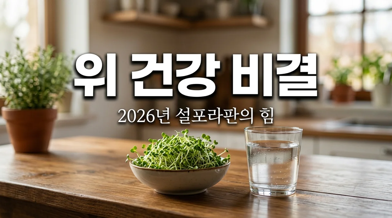 2026년 주목받는 설포라판, 브로콜리 추출물로 위 건강 챙기는 법