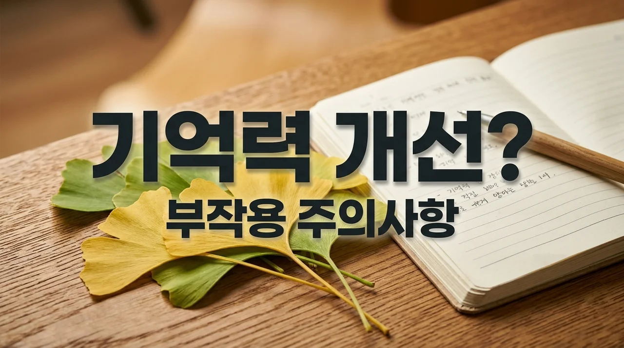 징코빌로바 기억력 개선 효과와 코피 부작용 주의사항