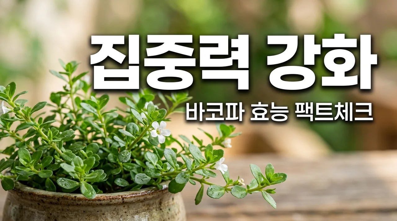 집중력 강화 바코파 효능, 브레인 푸드로서의 실체와 팩트체크