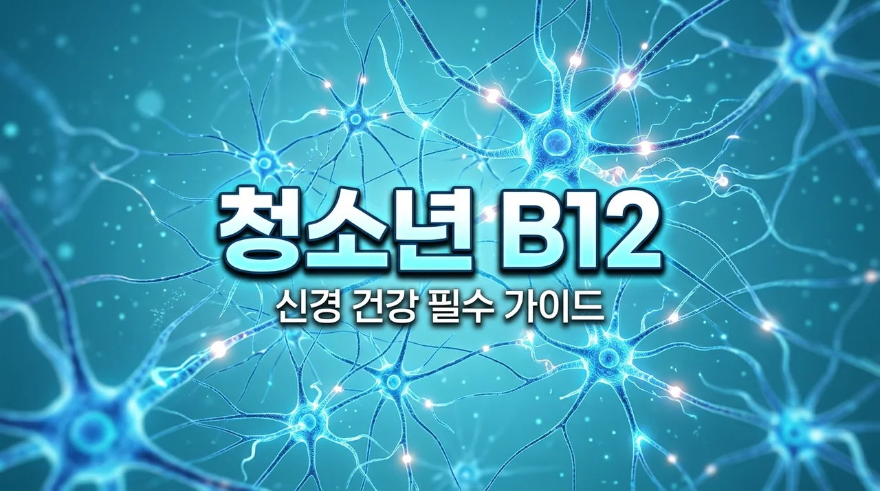 고함량 비타민B12가 청소년 신경계에 미치는 영향과 효능