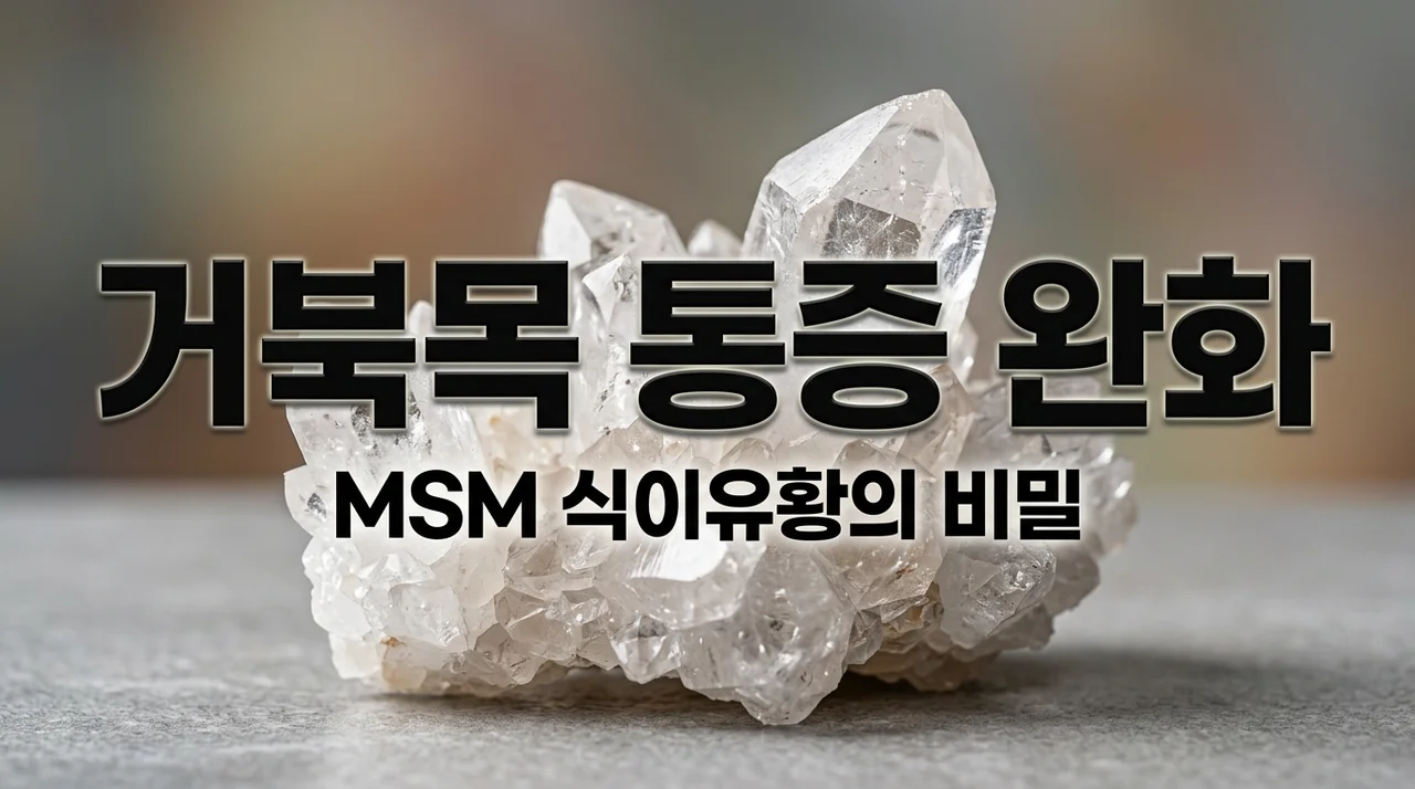 거북목 통증 완화? MSM 식이유황으로 염증 관리와 피부 개선까지