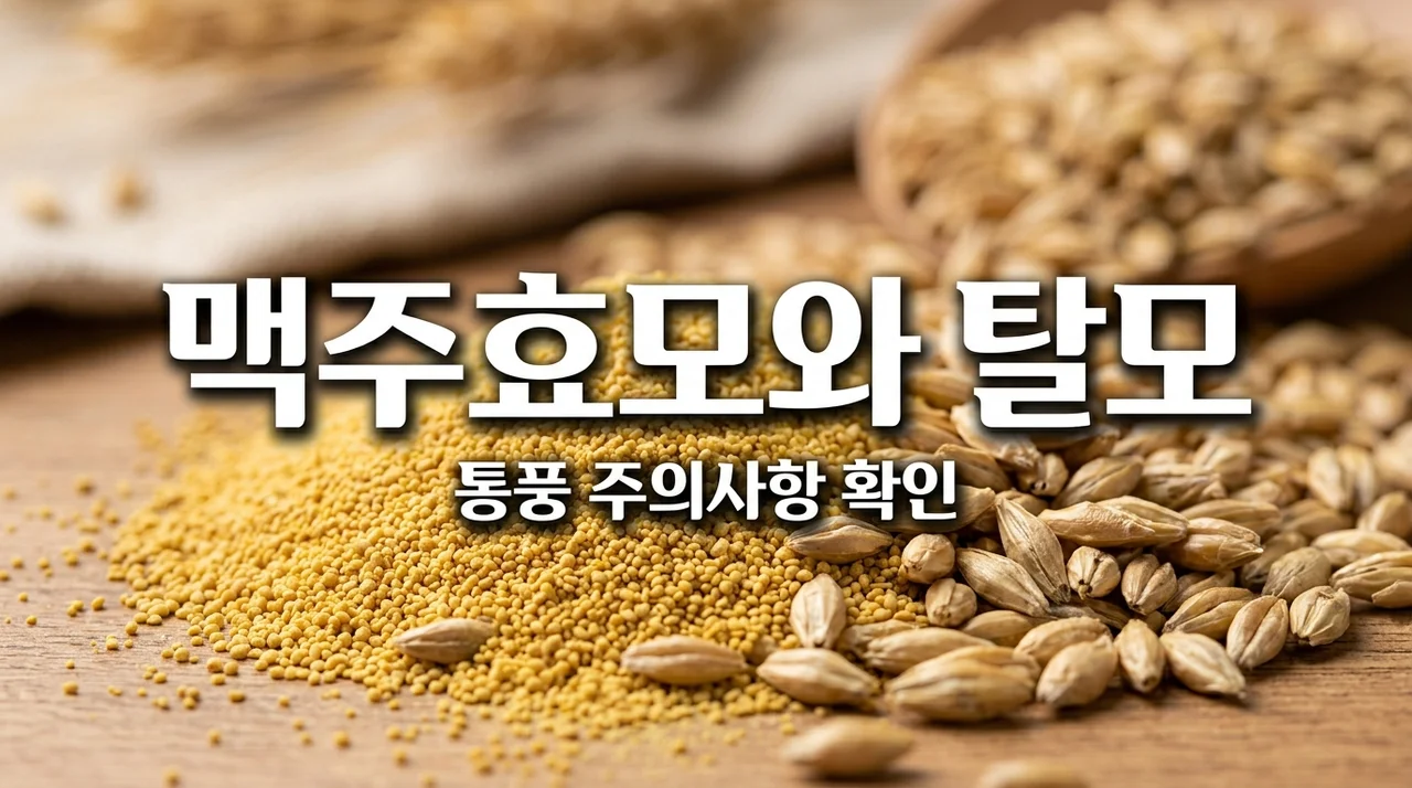 청년 탈모 예방 맥주효모 아미노산 효능과 통풍 환자 주의점