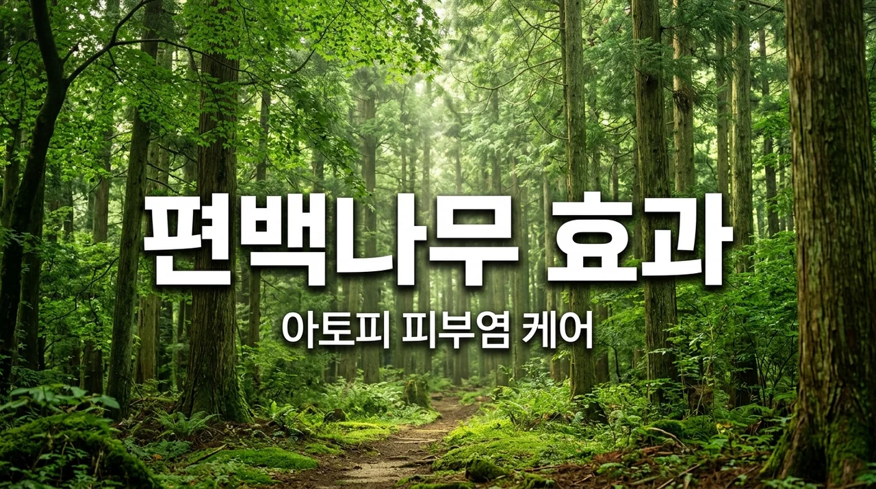 아토피 피부염에 좋은 편백나무 조경, 피톤치드 효과 완벽 정리