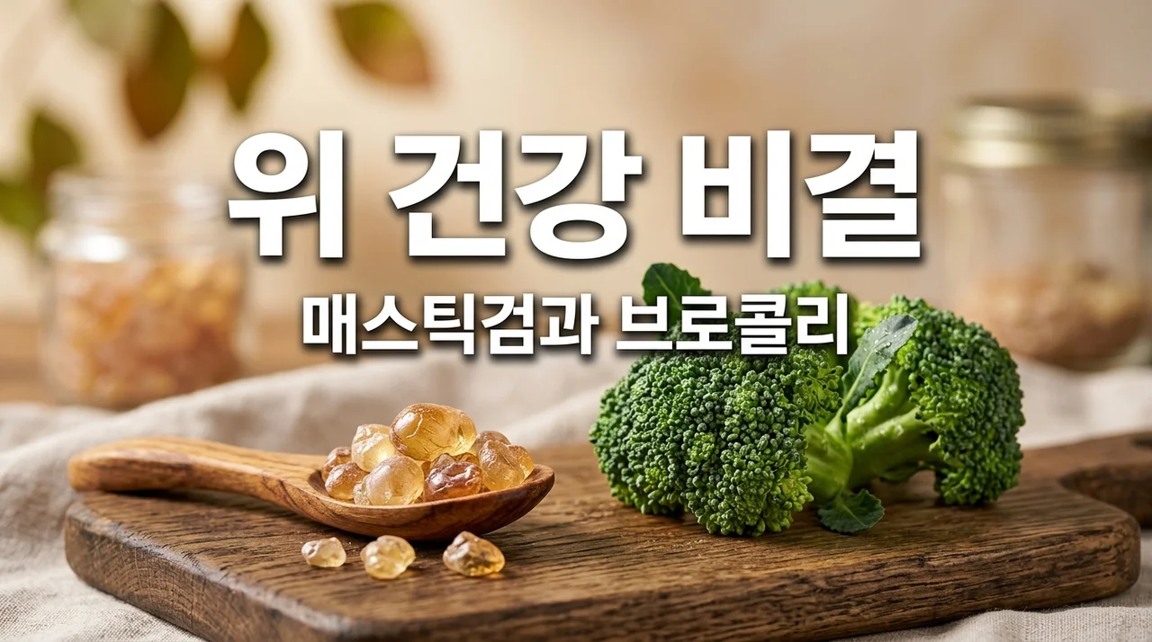 매스틱검과 브로콜리 설포라판 효능, 위 건강 지키는 필수 조합