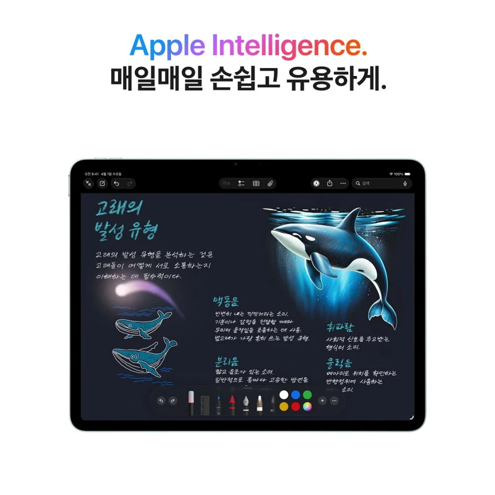 애플 아이패드 에어 13 M4 WiFi 스페이스 그레이, 128GB, WiFi전용 상세 이미지 7