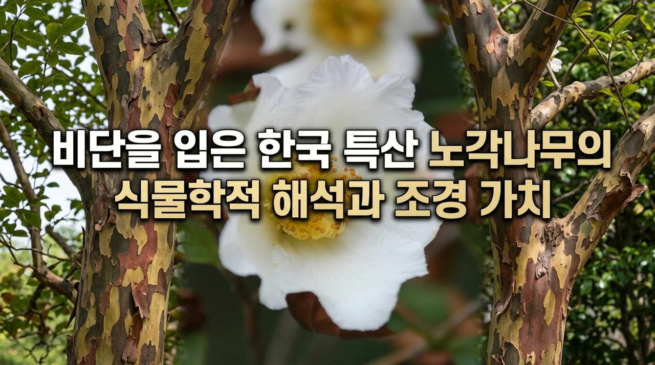 비단을 두른 한국의 특산 수종, 노각나무의 식물학적 해석과 조경학적 가치