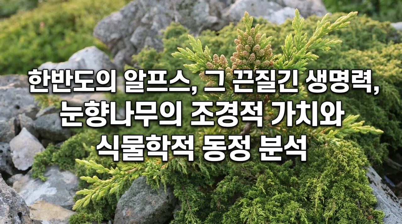 한반도 고산의 강인한 생명력, 눈향나무의 조경학적 가치와 식물학적 동정 분석