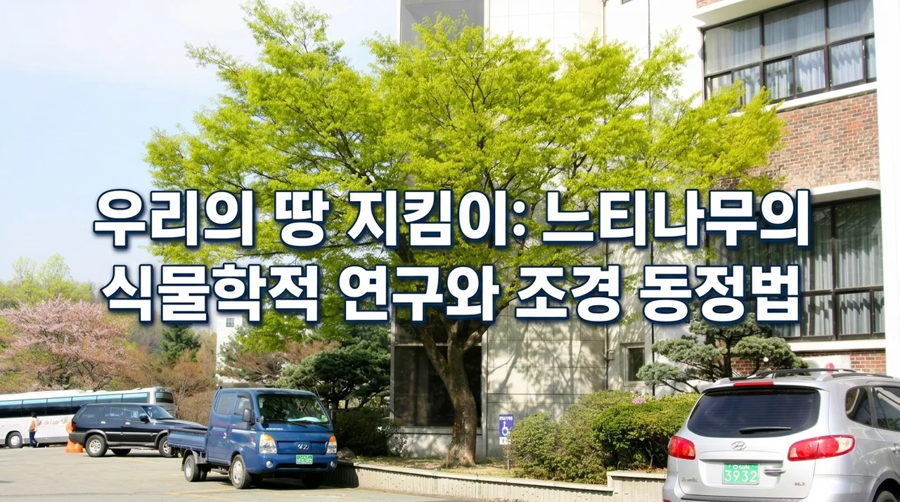 우리 땅의 수호자, 느티나무의 식물학적 고찰과 조경학적 감별법
