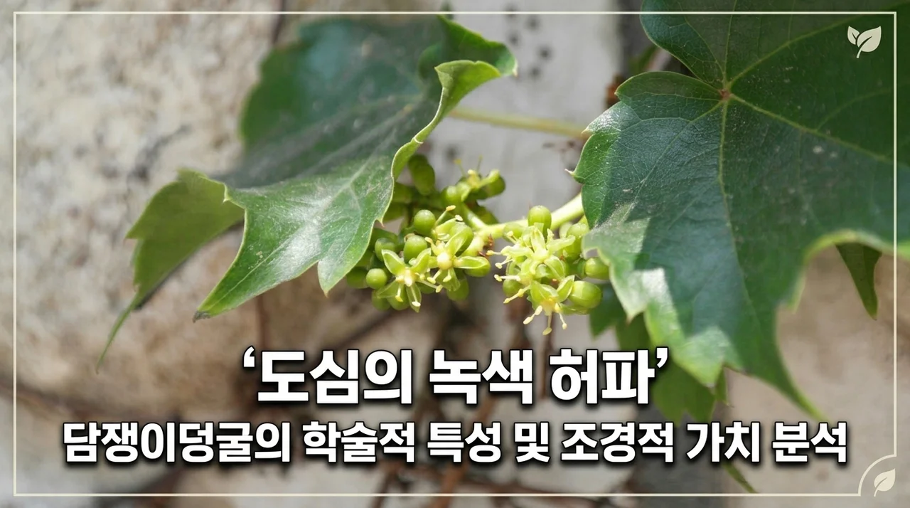 도심 속 녹색 허파, 담쟁이덩굴의 학술적 성상과 조경학적 가치 분석