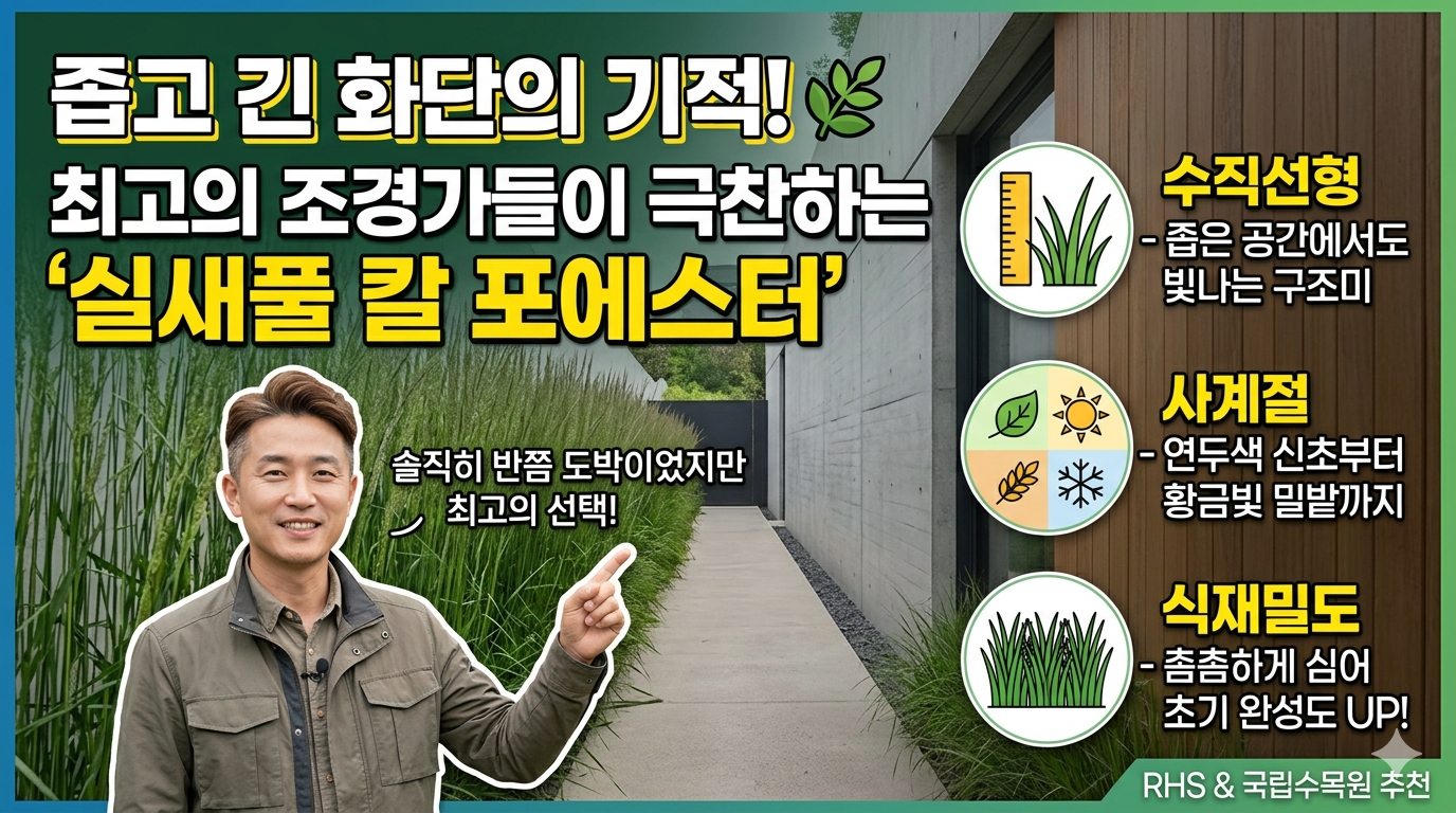 실새풀 칼 포에스터 (수직선형, 사계절변화, 식재밀도)